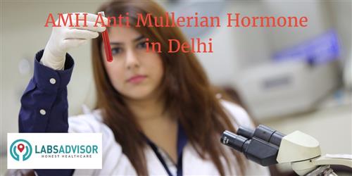 Anti Mullerian Hormone Amh Test Cost In Delhi Get Up To 28 Off In