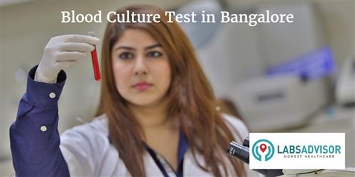 Blood Culture Test Cost in Bangalore / Bengaluru - Get Up to 25% ...