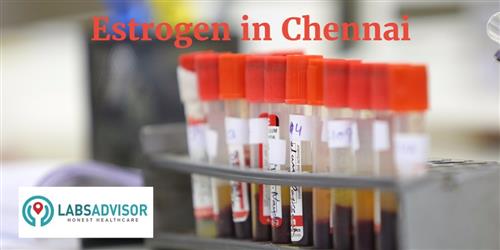 estrogen-test-cost-in-chennai-get-up-to-15-off-in-best-lab-s