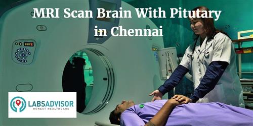 mri-scan-brain-with-pituitary-cost-in-chennai-get-up-to-0-off-in