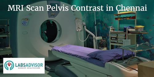 MRI Scan Pelvis Contrast Cost in Chennai - Get Up to 5% OFF in Best Lab ...